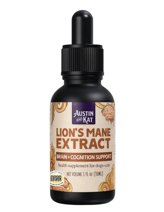 Lion's Mane Tincture (no CBD)