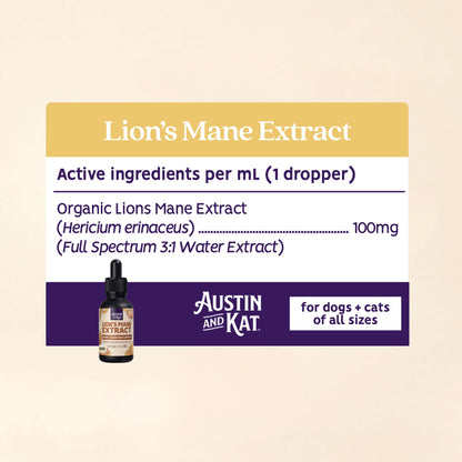 Lion's Mane Tincture (no CBD)